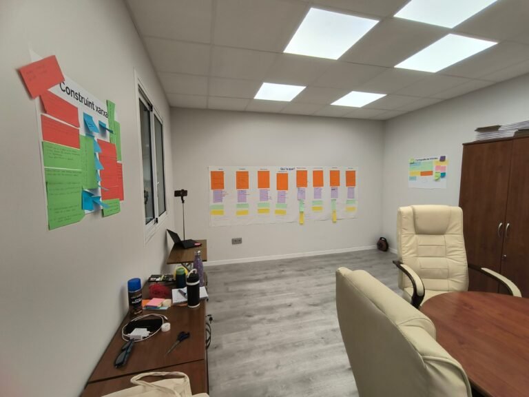 visualitzacio-sistema-organitzatiu-empresa.jpg